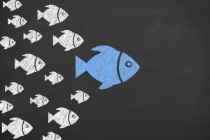 Leadership models